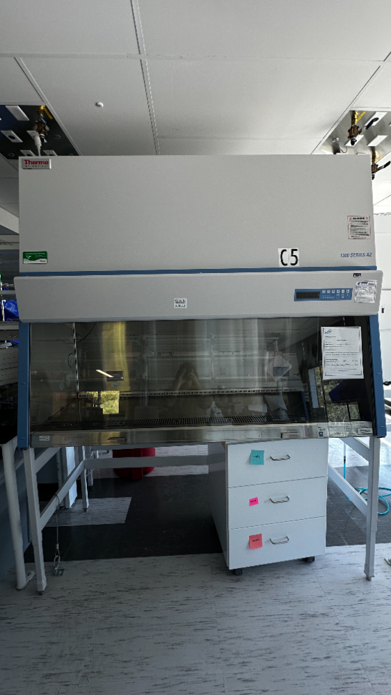 Image of Thermo Scientific 1300 Series A2 BSC- 6ft
